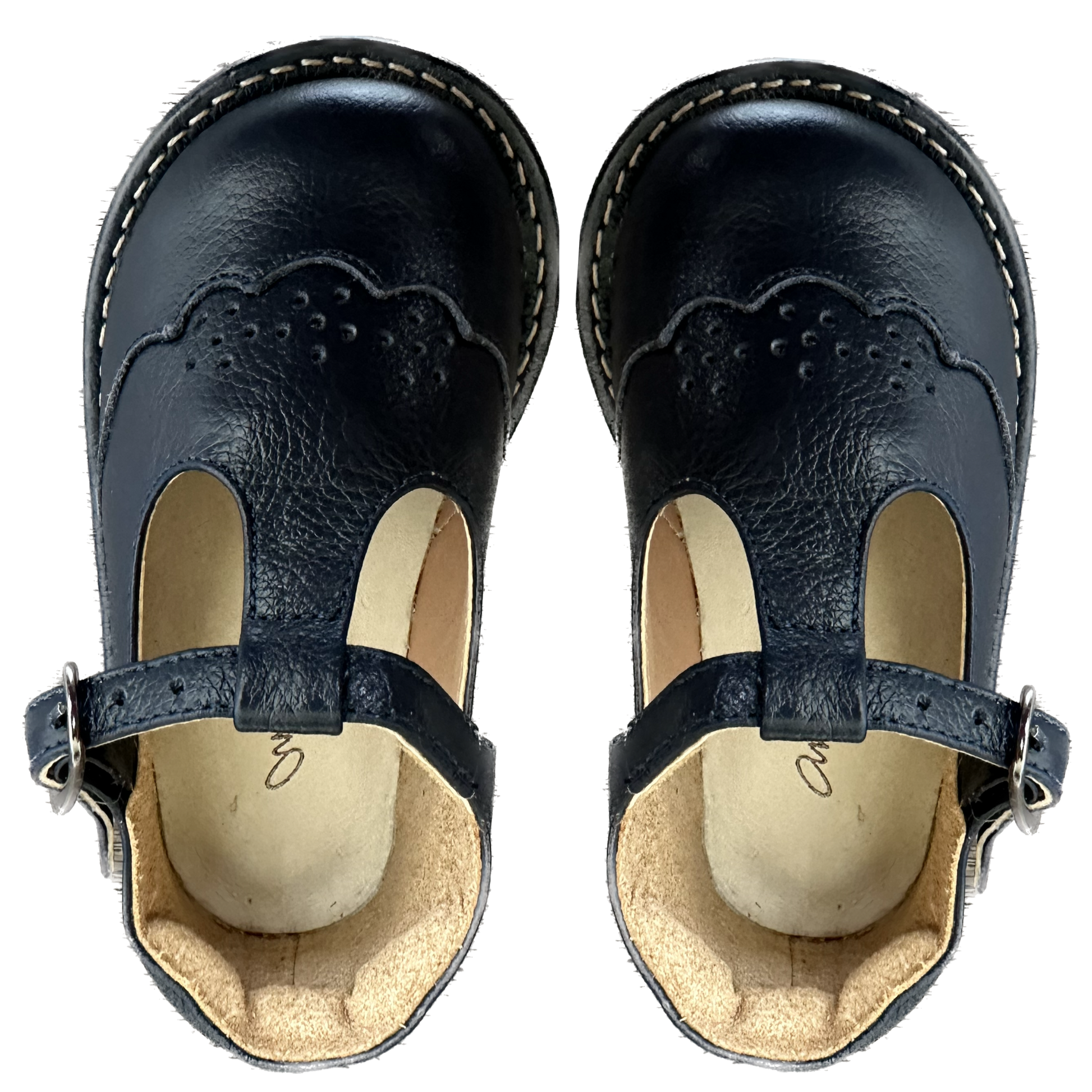 Sapato clovis hotsell