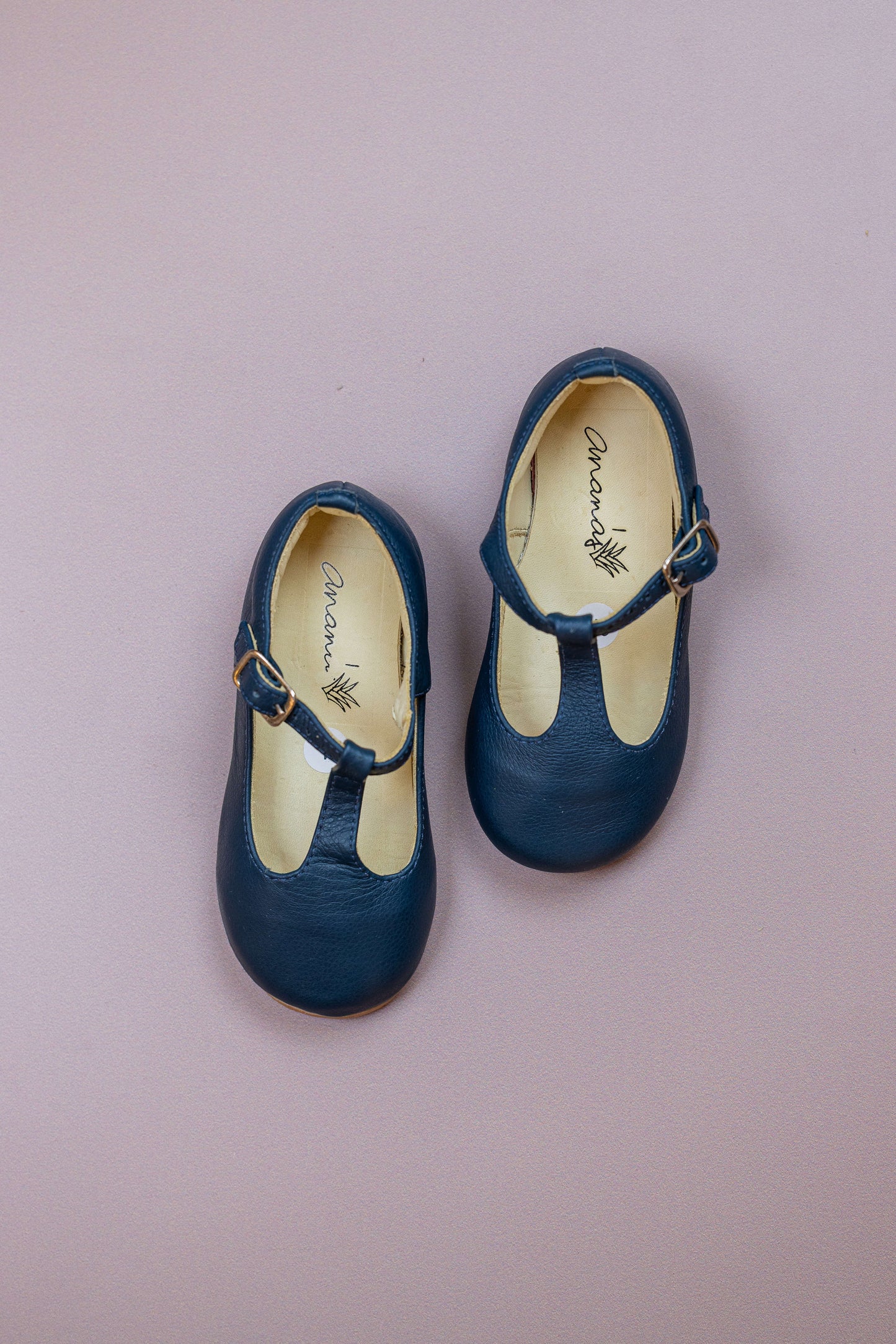 Sapatilha Infantil Ananás Bailarina Alina Couro Azul Marinho