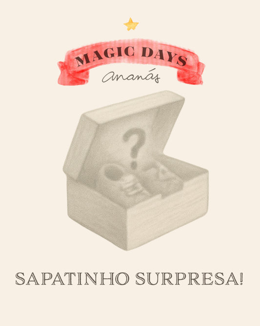Um Sapatinho Supresa Magic Days